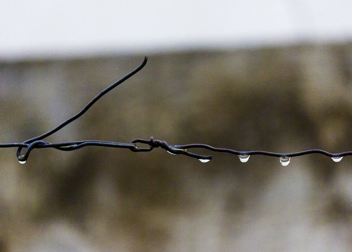 RS: alta umidade dificulta implantação dos grãos de verão no Estado