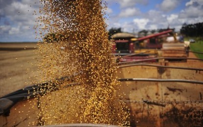 Hora de apertar os gastos com a nova safra de grãos