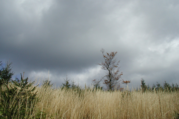 Primavera chuvosa no Sul atrasa a semeadura da safra verão