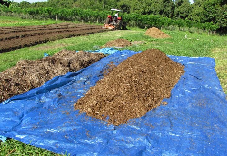 Aprenda cinco técnicas para melhorar a produção agropecuária