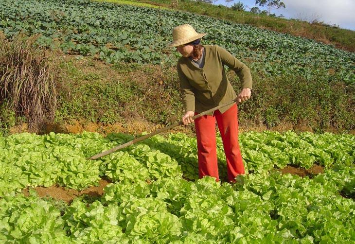 Agricultura familiar produz cerca de 70% dos alimentos do mundo