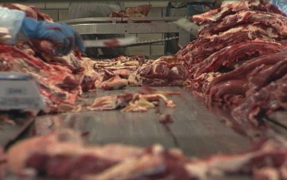 Rabobank prevê melhora na oferta e demanda de carne bovina no quarto trimestre