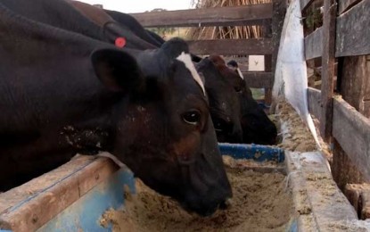 Farsul não aceita discutir medidas de contenção de saída de gado vivo do Rio Grande do Sul