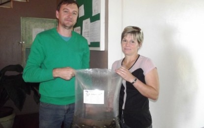 Agricultores retiraram 15000 alevinos na Secretaria de Agricultura de Crissiumal nesta quarta-feira