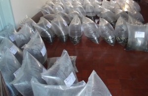 23-10-2014-085955-1414061995.22