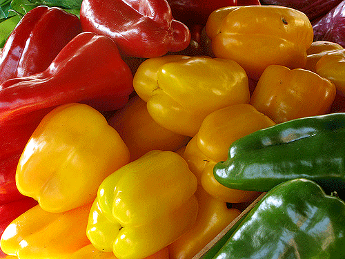 Países devem investir em inovação para a agricultura familiar, alerta FAO