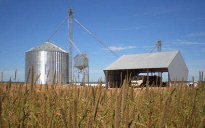 Produtores do Rio Grande do Sul se rendem aos silos