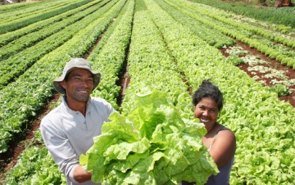 Agricultores familiares vendem mais de 7 milhões (Kg) em produtos em 2014