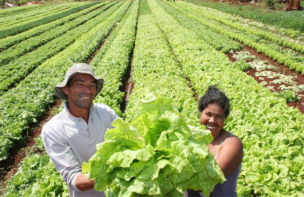 Agricultores familiares vendem mais de 7 milhões (Kg) em produtos em 2014