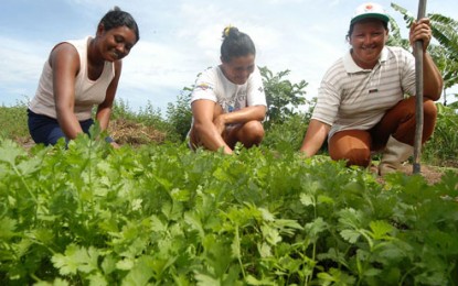 No Ano Internacional da Agricultura Familiar, Brasil fecha acordo para desenvolver setor