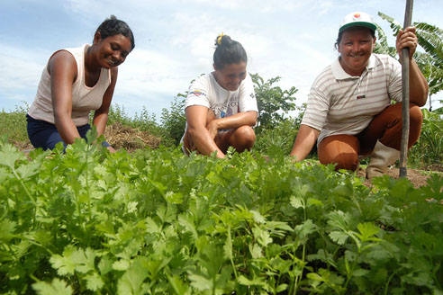 No Ano Internacional da Agricultura Familiar, Brasil fecha acordo para desenvolver setor