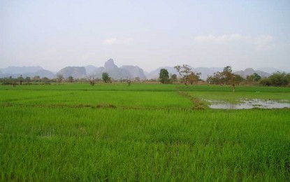 Chuva atrasa plantio do arroz no Rio Grande do Sul