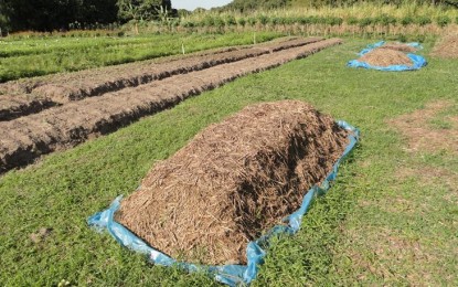 Brasil pode aumentar dependência de importação de fertilizantes, diz Embrapa