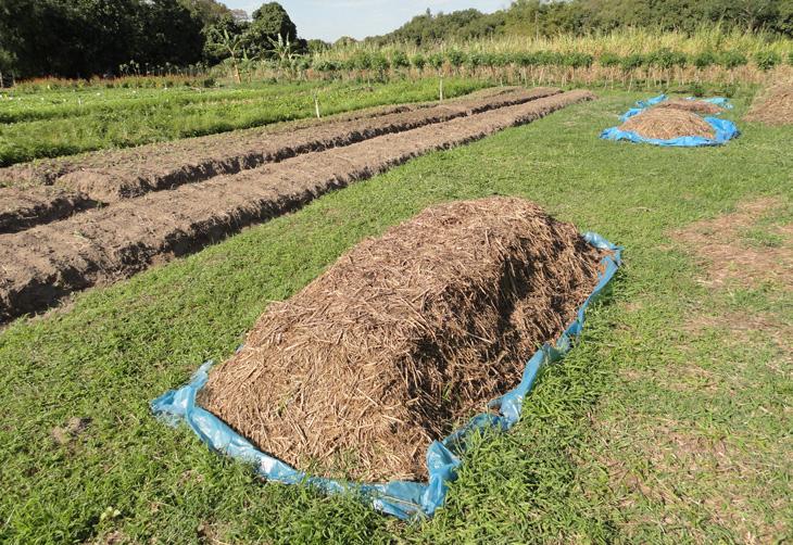 Brasil pode aumentar dependência de importação de fertilizantes, diz Embrapa