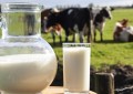 Ficou mantido padrão de contagem bacteriana e de células somáticas do leite