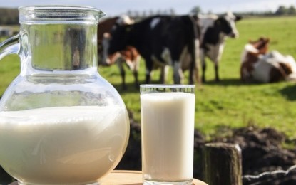 Preço do leite está em queda