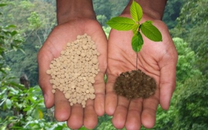 Vendas de fertilizantes têm recorde no Brasil com demanda de sojicultores