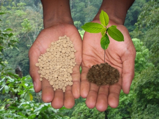 Vendas de fertilizantes têm recorde no Brasil com demanda de sojicultores