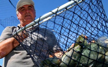 O Rio Grande está para peixe