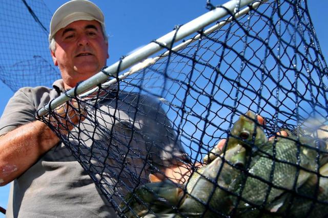 O Rio Grande está para peixe