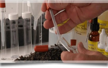 Análise de solo e folha pode evitar gastos extras com fertilizantes e quedas na produtividade