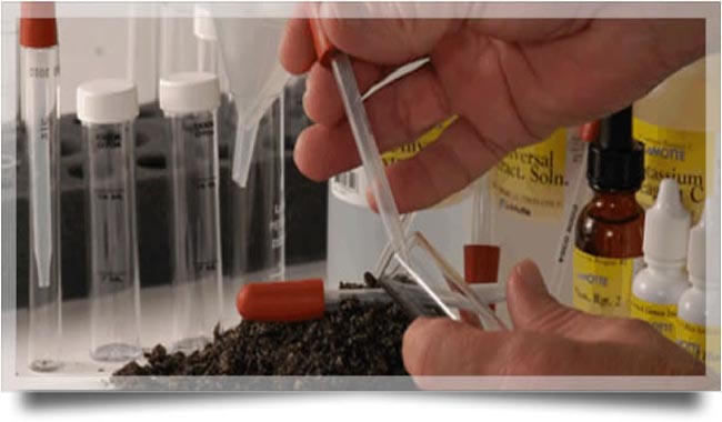 Análise de solo e folha pode evitar gastos extras com fertilizantes e quedas na produtividade