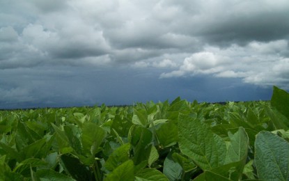 Semana com calor e pancadas de chuva