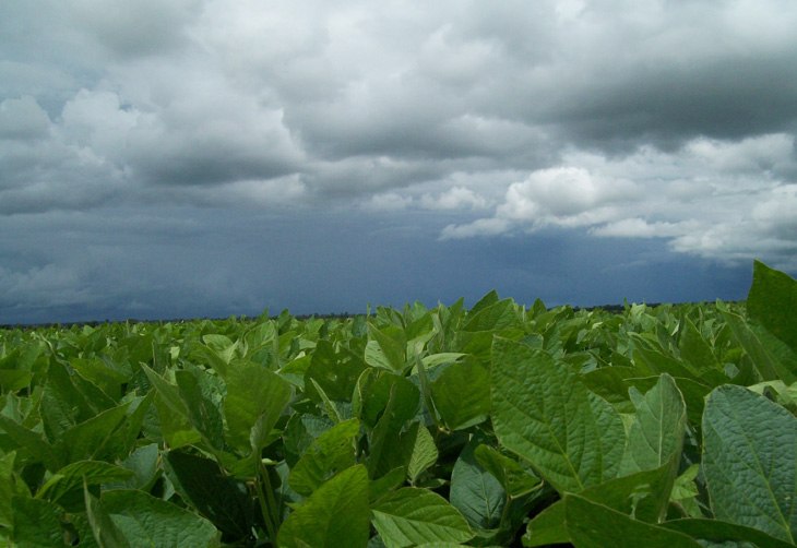 Semana com calor e pancadas de chuva