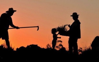 Quase 50% dos trabalhadores do campo não têm carteira assinada