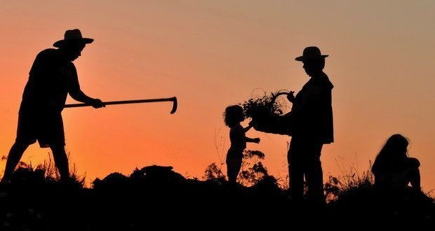 Quase 50% dos trabalhadores do campo não têm carteira assinada