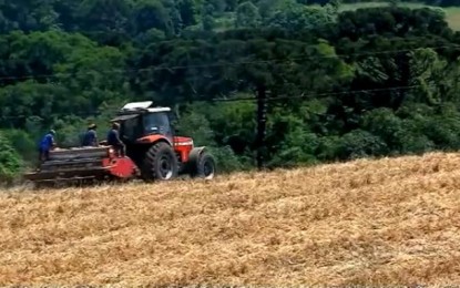Grupo de indígenas começa a plantar soja em área invadida no Norte do Estado