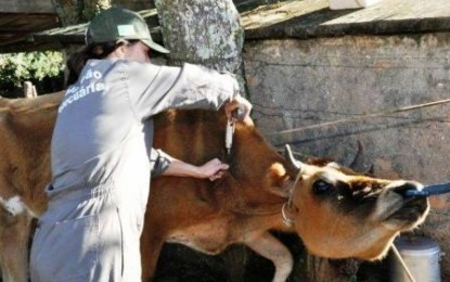 Febre Aftosa – Quem não imunizar terá que pagar multa