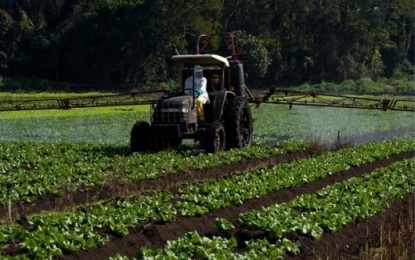 Deputados discutem efeitos do consumo excessivo de agrotóxicos