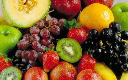 Veja dicas para o cultivo de frutas