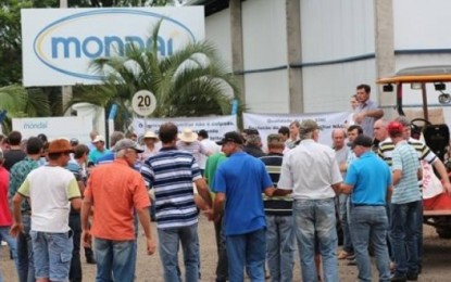 Laticínios Mondaí anuncia encerramento total das atividades