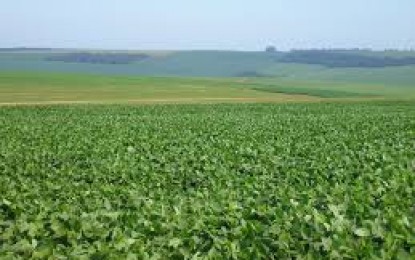 País deve colher 56,2 milhões de hectares em 2014, estima o IBGE