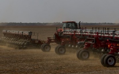 Plantio de soja registra forte evolução no Brasil