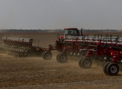 Plantio de soja registra forte evolução no Brasil