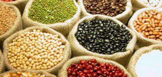 PGPAF garante descontos para 18 produtos neste mês