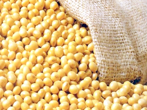 Produção de soja promete novo recorde no Brasil