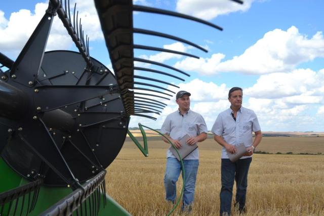 Safra de grãos poderá dar espaço para cana e café no Estado, diz pesquisa