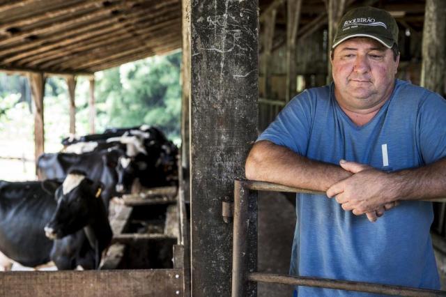 Produtores de leite aguardam pagamento de R$ 20 milhões de indústrias