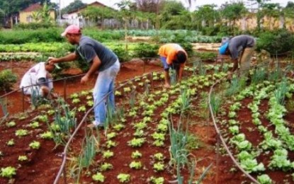 Conselhos Deliberativos da Emater aprovam R$ 305 milhões para 2015