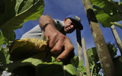 Agricultura, pecuária e construção lideram rotatividade no trabalho