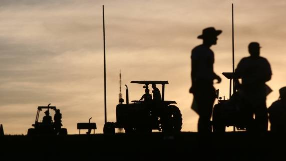 População rural do Brasil é maior que a apurada pelo IBGE, diz pesquisa