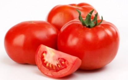 Tomate previne câncer de próstata em até 50%
