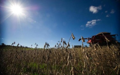 Agropecuária deverá ajudar economia gaúcha a voltar a crescer em 2015