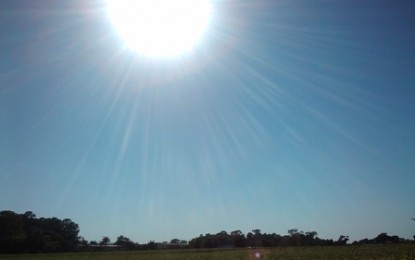 Tempo seco e ensolarado em grande parte do Estado nesta quarta-feira