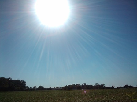 Tempo seco e ensolarado em grande parte do Estado nesta quarta-feira