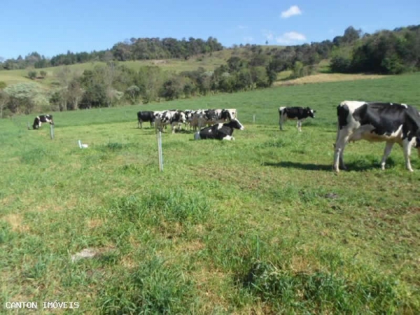 Produtores de leite voltam a sofrer com falta de pagamento em Três Passos